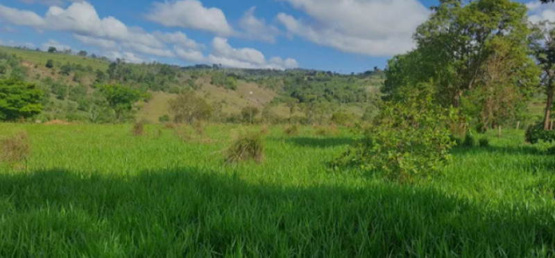 Area Rural em leilão em Patos De Minas - MG — LOTE 001 IMÓVEL RURAL EM PATOS DE MINAS COM 55,56 HECTARES