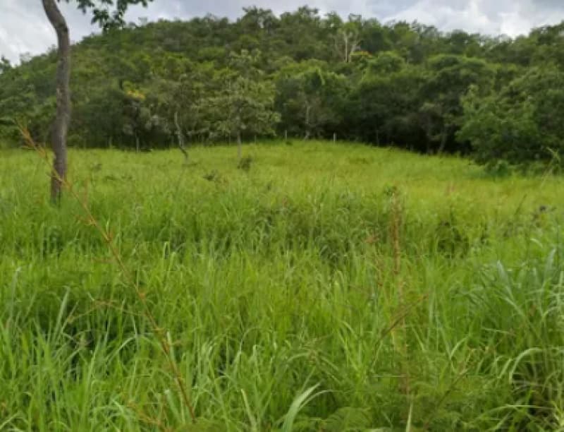 Area Rural em leilão em Formoso - MG — LOTE 001 20% DA FAZENDA PIRATINGA EM FORMOSO/MG