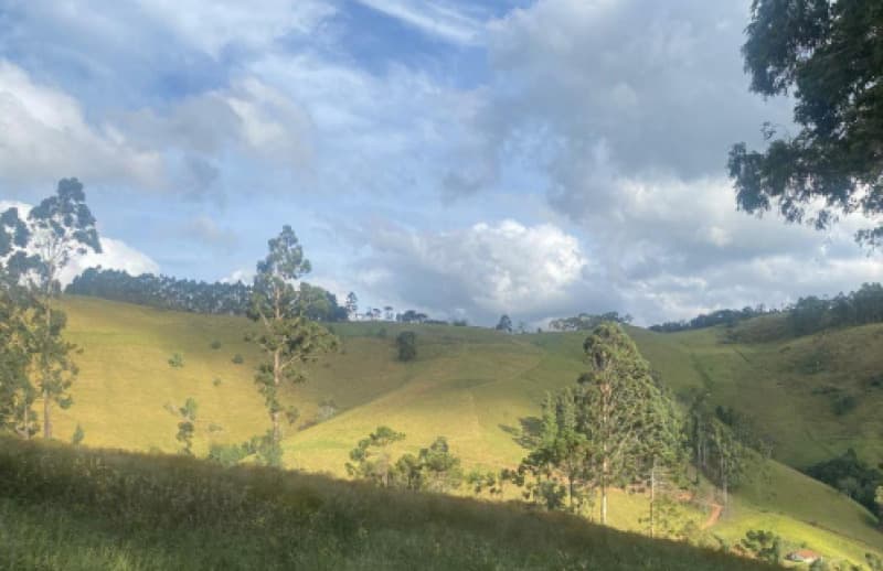 Terreno em leilão em Camanducaia - MG, bairro Fazenda Velha — LOTE 001-1 FRAÇÃO IDEAL DE 5,35% DE UM TERRENO RURAL