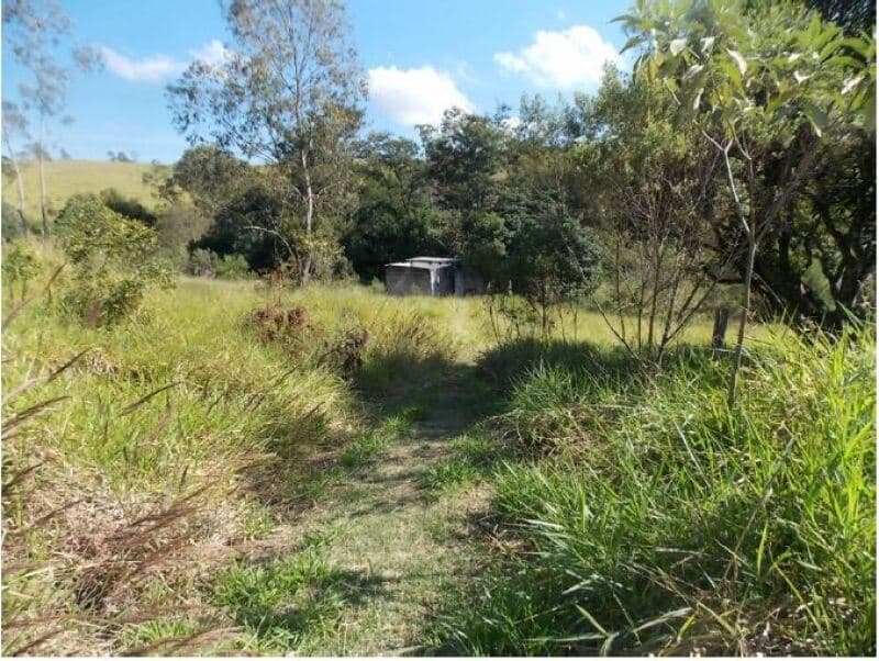 Foto 7 de 13: Terreno em leilão em Campo Limpo Paulista - SP — LOTE 001 Terreno c/ 9.127,46m² , no Bairro Pau Arcado, Campo Limpo Paulista, SP
