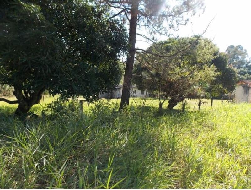 Foto 9 de 13: Terreno em leilão em Campo Limpo Paulista - SP — LOTE 001 Terreno c/ 9.127,46m² , no Bairro Pau Arcado, Campo Limpo Paulista, SP