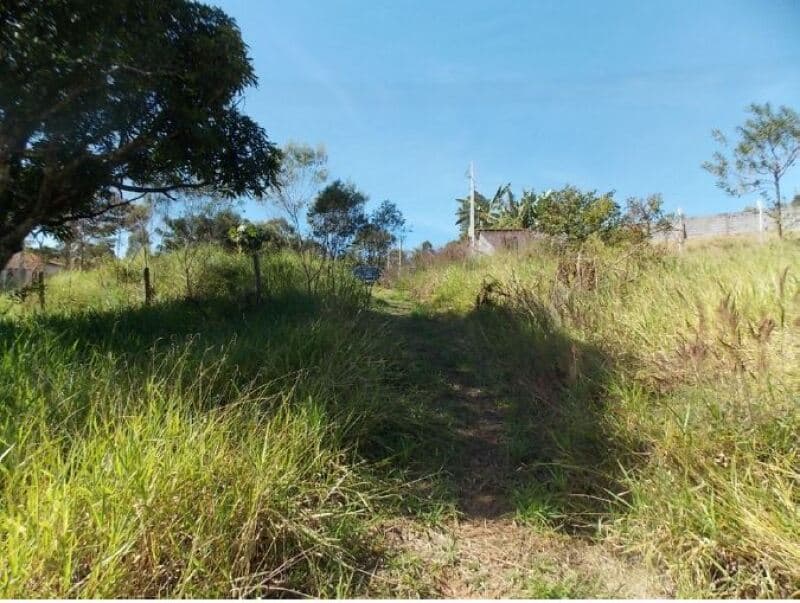 Foto 10 de 13: Terreno em leilão em Campo Limpo Paulista - SP — LOTE 001 Terreno c/ 9.127,46m² , no Bairro Pau Arcado, Campo Limpo Paulista, SP
