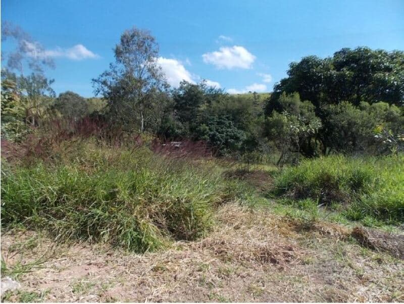 Foto 11 de 13: Terreno em leilão em Campo Limpo Paulista - SP — LOTE 001 Terreno c/ 9.127,46m² , no Bairro Pau Arcado, Campo Limpo Paulista, SP
