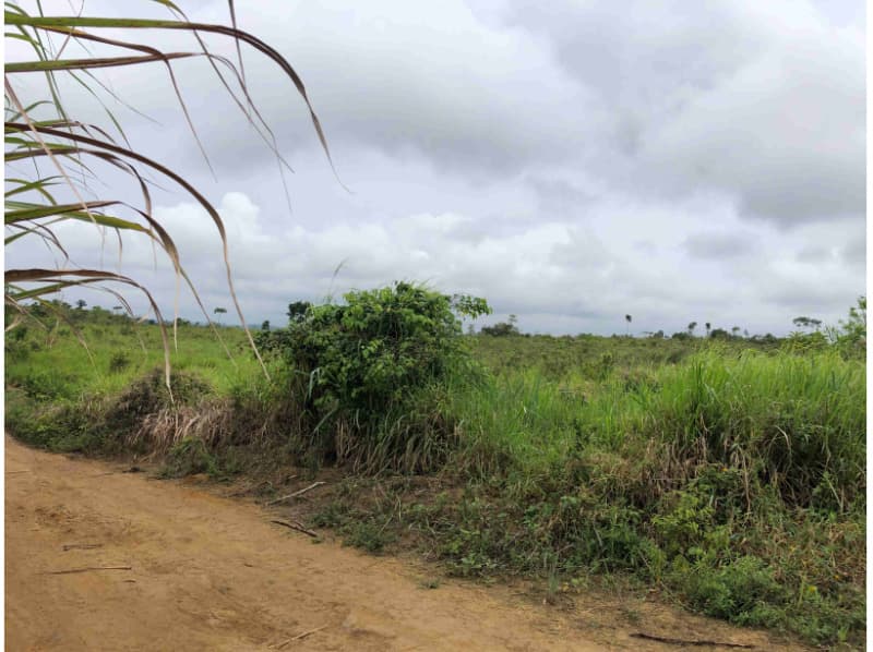 Foto 1 de 2: Area Rural em leilão em Água Preta - PE — LOTE 001 Lote em Venda Direta