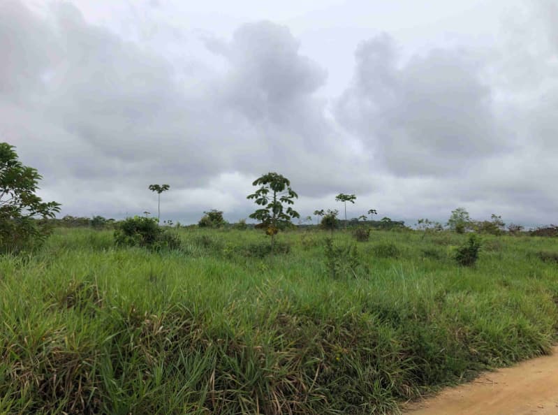 Foto 2 de 2: Area Rural em leilão em Água Preta - PE — LOTE 001 Lote em Venda Direta
