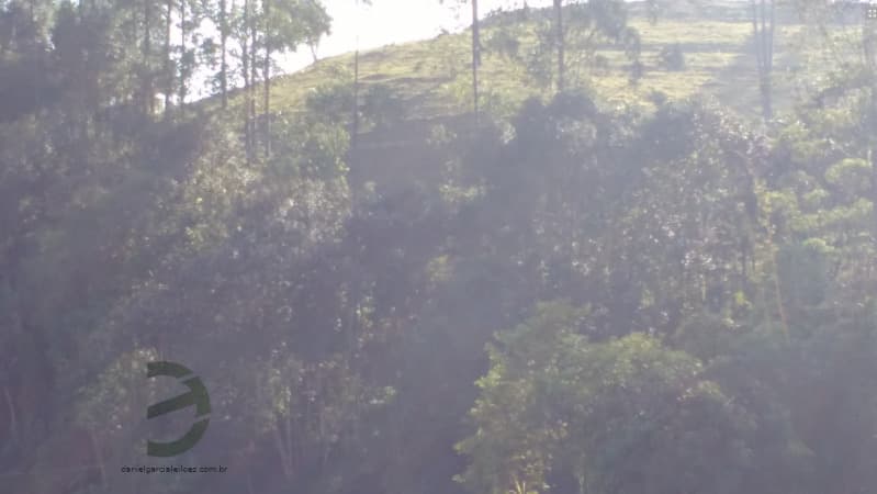 Foto 2 de 2: Terreno em leilão em Orleans - SC — LOTE 001 Terreno