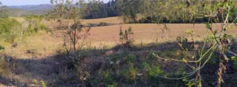 Foto 3 de 8: Terreno em leilão em Lauro Muller - SC — LOTE 001 Imóvel