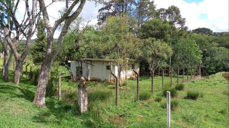 Foto 1 de 4: Terreno em leilão em Erval Velho - SC — LOTE 005 Terreno Rural