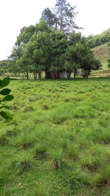 Foto 3 de 4: Terreno em leilão em Erval Velho - SC — LOTE 005 Terreno Rural