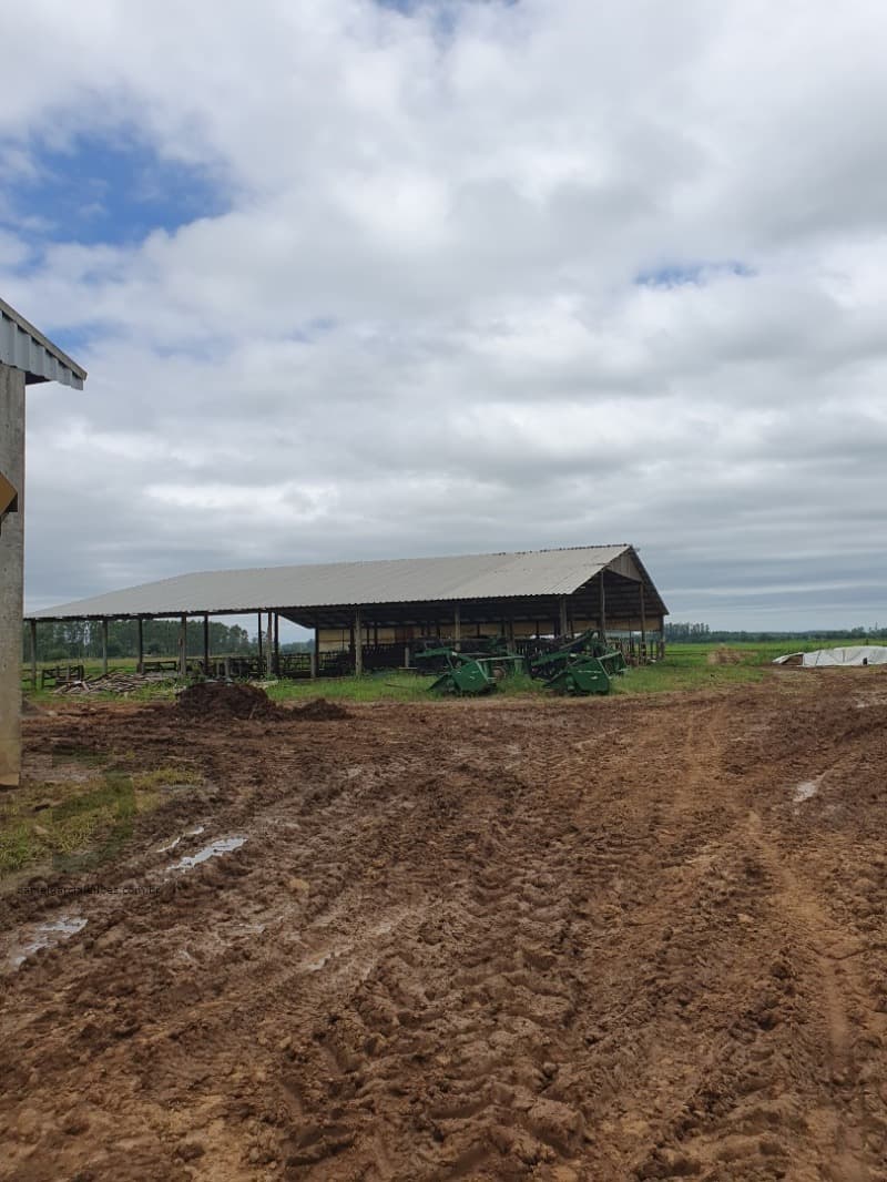 Foto 4 de 5: Area Rural em leilão em Praia Grande - SC — LOTE 001 Imóvel