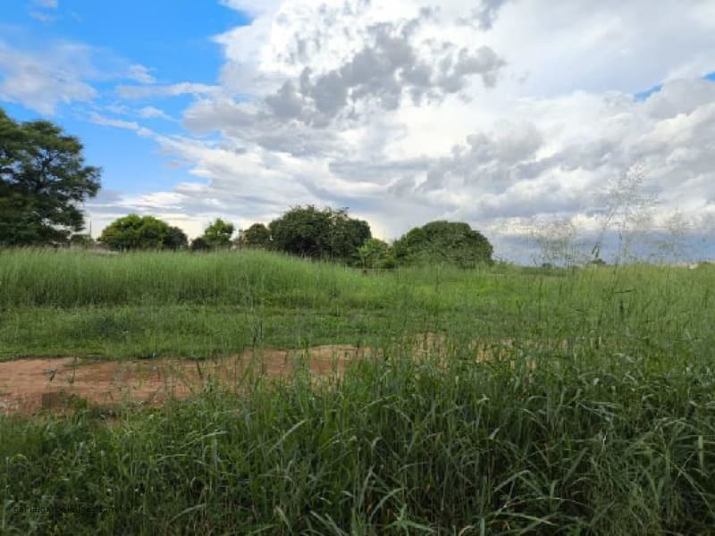 Foto 4 de 10: Terreno em leilão em Ipiranga Do Norte - MT, bairro Centro — LOTE 028 Imóveis