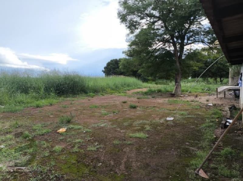 Foto 6 de 10: Terreno em leilão em Ipiranga Do Norte - MT, bairro Centro — LOTE 028 Imóveis