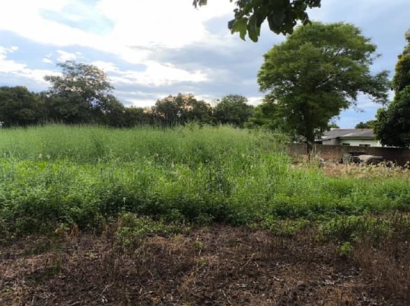 Foto 7 de 10: Terreno em leilão em Ipiranga Do Norte - MT, bairro Centro — LOTE 028 Imóveis