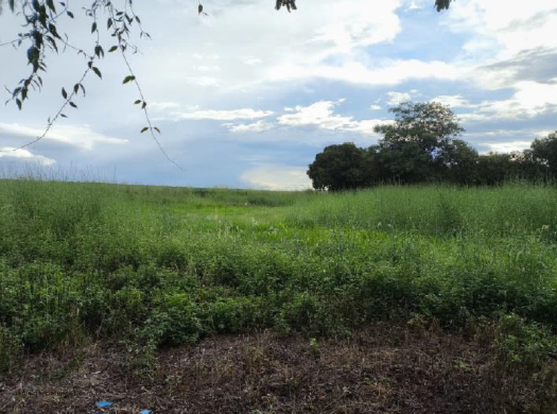 Foto 8 de 10: Terreno em leilão em Ipiranga Do Norte - MT, bairro Centro — LOTE 028 Imóveis