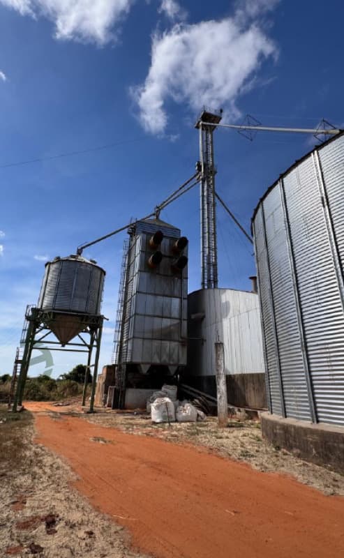 Foto 11 de 13: Area Rural em leilão em São José Do Rio Claro - MT — LOTE 034 Imóvel