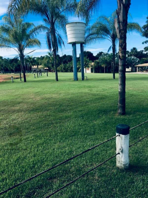 Foto 62 de 74: Area Rural em leilão em Barra Do Garças - MT — LOTE 044 IMÓVEL