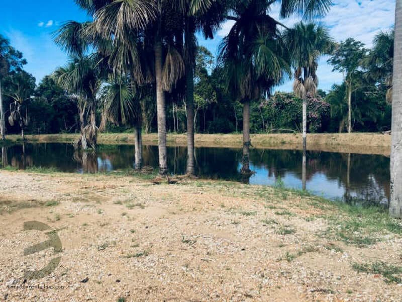 Foto 68 de 74: Area Rural em leilão em Barra Do Garças - MT — LOTE 044 IMÓVEL