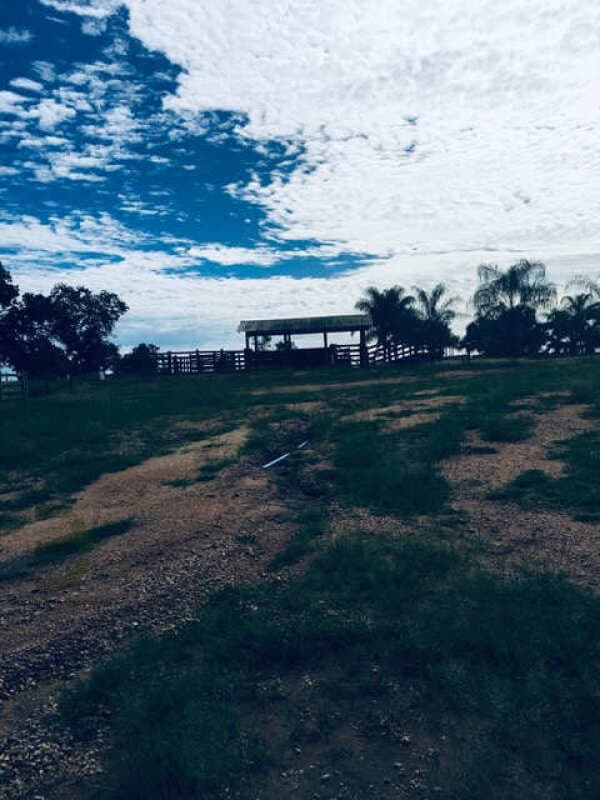 Foto 71 de 74: Area Rural em leilão em Barra Do Garças - MT — LOTE 044 IMÓVEL