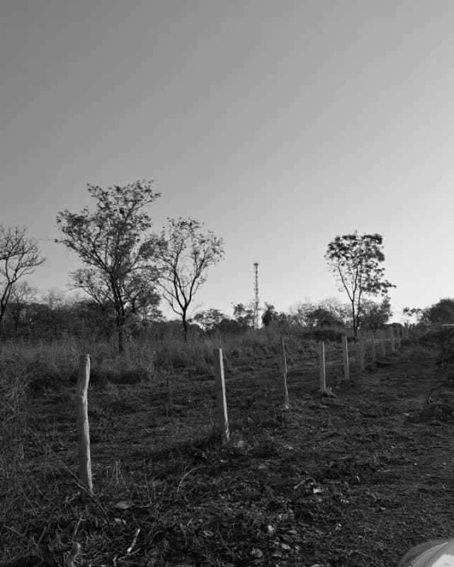 Foto 4 de 4: Terreno em leilão em Santo Antônio De Leverger - MT, bairro Parque Cuiabá — LOTE 057 Imóvel