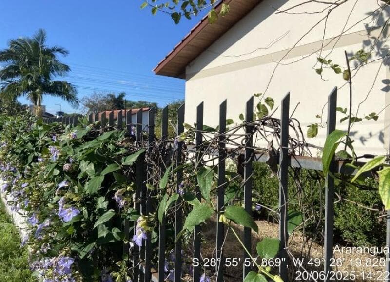 Foto 7 de 12: Casa em leilão em Araranguá - SC, bairro Coloninha — LOTE 012 Imóvel