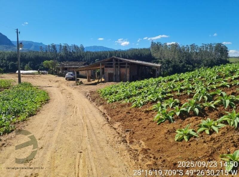 Foto 1 de 11: Terreno em leilão em Orleans - SC — LOTE 018 Imóvel