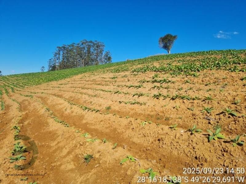 Foto 6 de 11: Terreno em leilão em Orleans - SC — LOTE 018 Imóvel