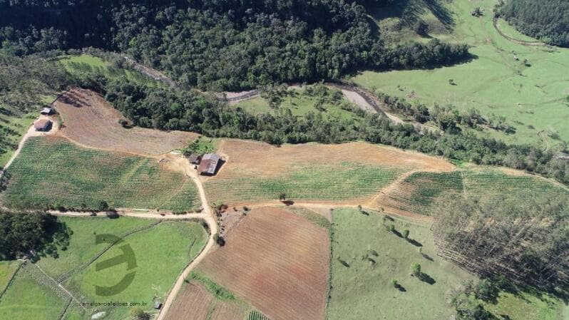 Foto 2 de 11: Terreno em leilão em Orleans - SC — LOTE 018 Imóvel