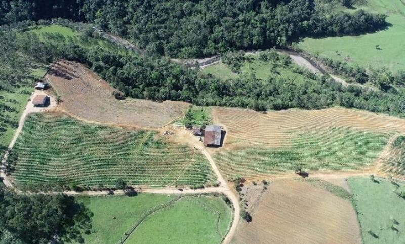 Foto 3 de 11: Terreno em leilão em Orleans - SC — LOTE 018 Imóvel