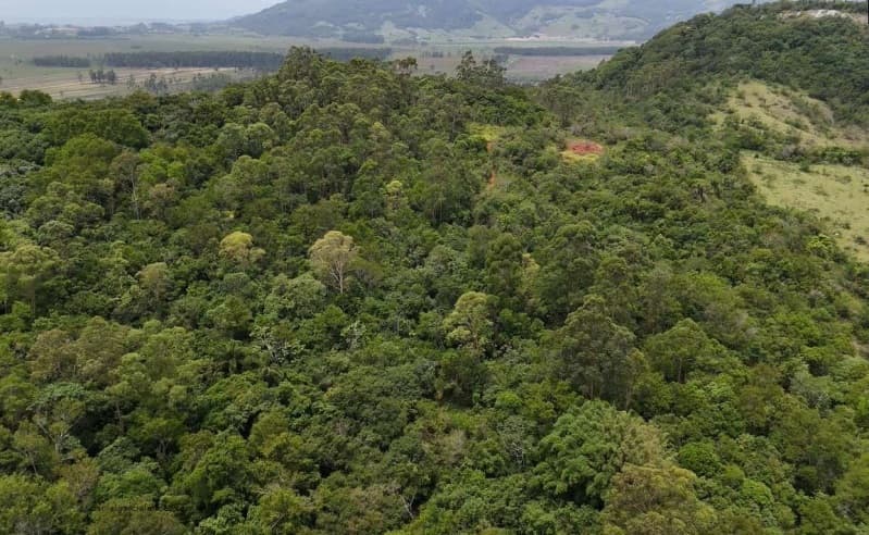 Foto 3 de 8: Area Rural em leilão em Capivari De Baixo - SC, bairro Caçador — LOTE 024 Terreno