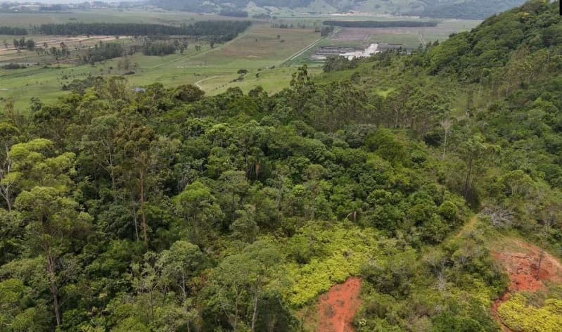 Foto 4 de 8: Area Rural em leilão em Capivari De Baixo - SC, bairro Caçador — LOTE 024 Terreno