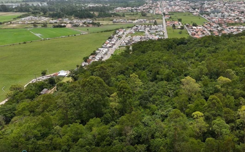 Foto 5 de 8: Area Rural em leilão em Capivari De Baixo - SC, bairro Caçador — LOTE 024 Terreno