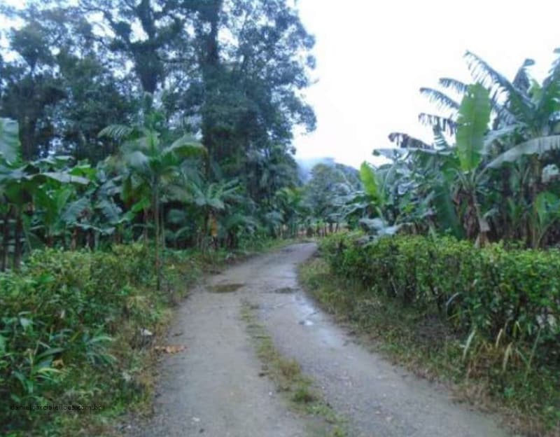 Foto 3 de 3: Area Rural em leilão em Garuva - SC — LOTE 030 Terreno