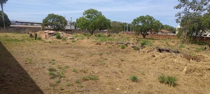 Foto 4 de 12: Terreno em leilão em Palmas - TO, bairro Loteamento Palmas 2ª Etapa Fase I — LOTE 001 TERRENO