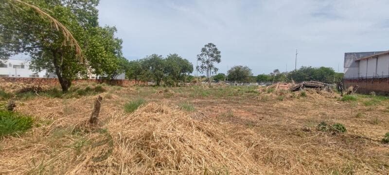 Foto 11 de 12: Terreno em leilão em Palmas - TO, bairro Loteamento Palmas 2ª Etapa Fase I — LOTE 001 TERRENO