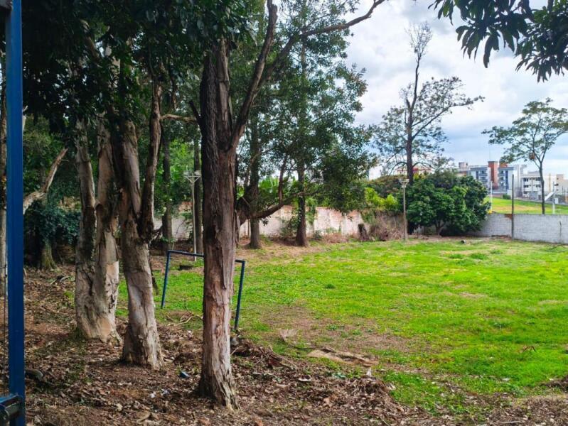 Foto 11 de 31: Terreno em leilão em Marília - SP — LOTE 003 Imóvel
