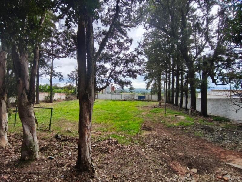 Foto 12 de 31: Terreno em leilão em Marília - SP — LOTE 003 Imóvel