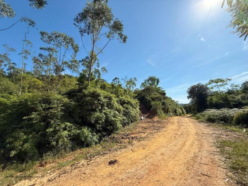 Foto 5 de 21: Terreno em leilão em Canelinha - SC — LOTE 001 Imóvel