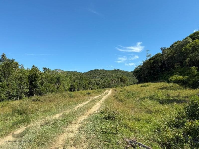 Foto 6 de 21: Terreno em leilão em Canelinha - SC — LOTE 001 Imóvel