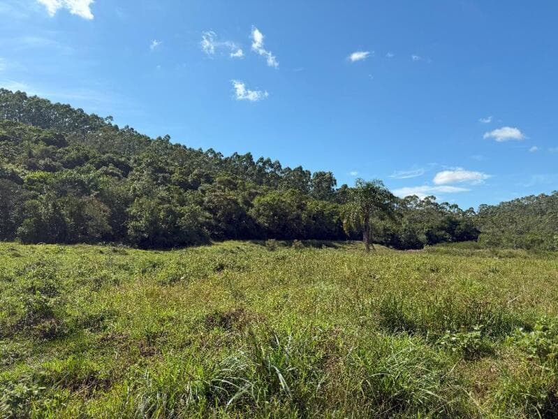 Foto 7 de 21: Terreno em leilão em Canelinha - SC — LOTE 001 Imóvel