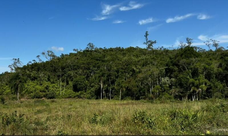 Foto 8 de 21: Terreno em leilão em Canelinha - SC — LOTE 001 Imóvel