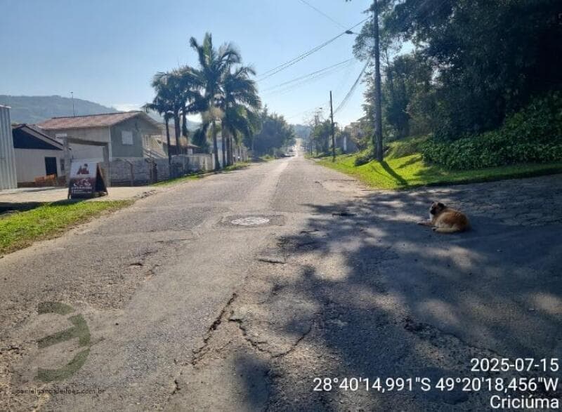 Foto 4 de 13: Terreno em leilão em Criciúma - SC, bairro Argentina — LOTE 003 Imóvel