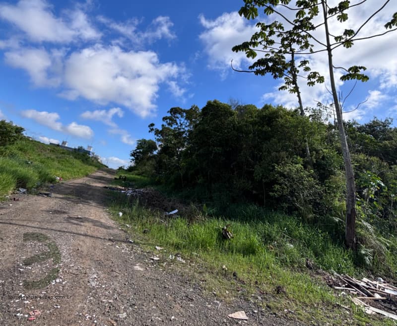 Foto 1 de 2: Terreno em leilão em Criciúma - SC, bairro Cristo Redentor — LOTE 001 Terreno