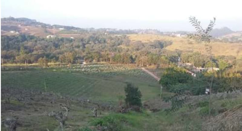 Foto 2 de 7: Area Rural em leilão em Valinhos - SP, bairro Capivari — LOTE 001 ÁREA EM VALINHOS