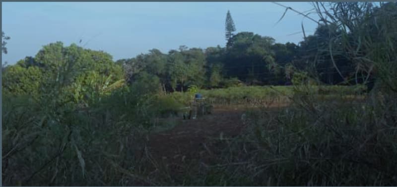 Foto 4 de 7: Area Rural em leilão em Valinhos - SP, bairro Capivari — LOTE 001 ÁREA EM VALINHOS