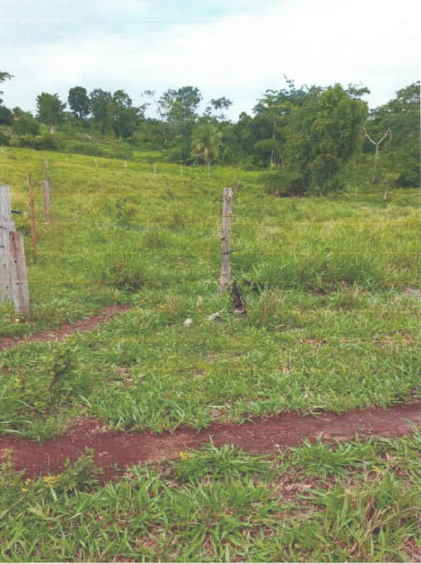 Foto 3 de 6: Area Rural em leilão em Alvorada D'oeste - RO — LOTE 001 IMÓVEL RURAL EM ALVORADA D'OESTE/RO
