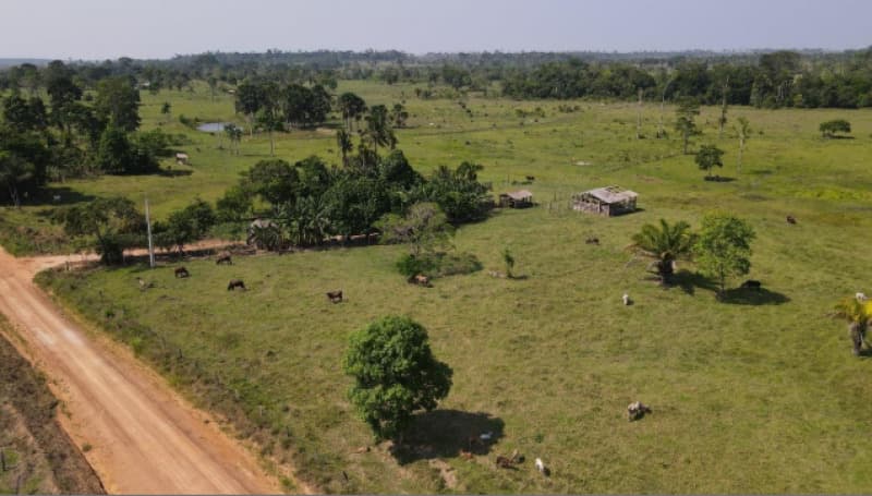 Area Rural em leilão em Mirante Da Serra - RO — LOTE 001 IMÓVEL RURAL EM MIRANTE DA SERRA/RO