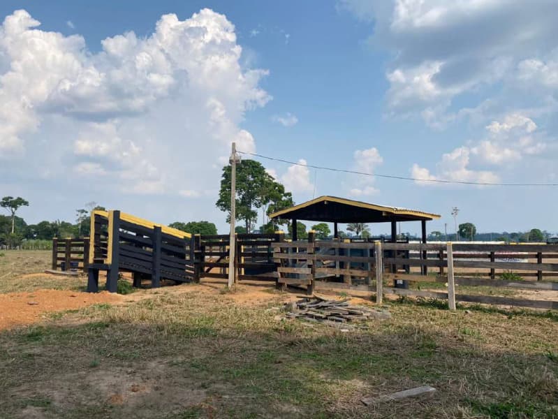 Foto 5 de 15: Area Rural em leilão em Costa Marques - RO — LOTE 001 IMÓVEL RURAL EM COSTA MARQUES