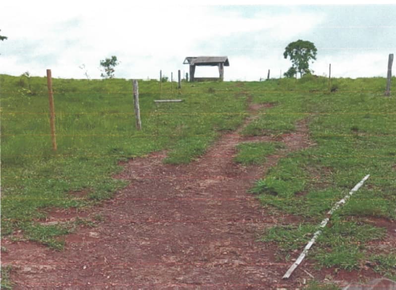 Foto 4 de 5: Area Rural em leilão em Alvorada D'oeste - RO — LOTE 001 IMÓVEL RURAL EM ALVORADA D´OESTE/RO