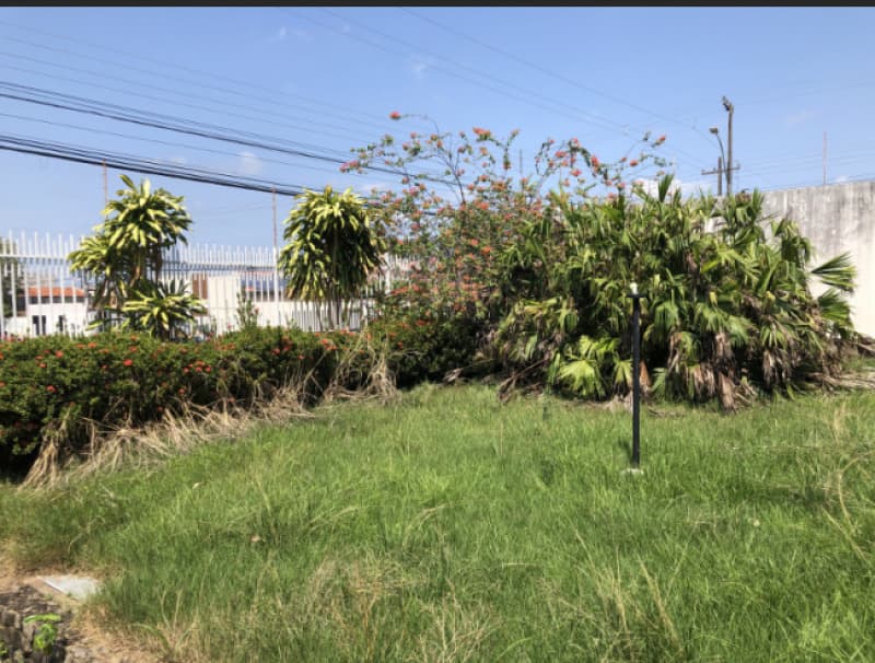 Foto 47 de 82: Terreno em leilão em Ji-paraná - RO — LOTE 001 IMÓVEL URBANO EM JI-PARANÁ