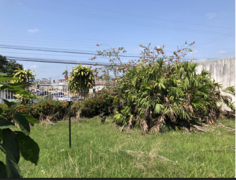 Foto 49 de 82: Terreno em leilão em Ji-paraná - RO — LOTE 001 IMÓVEL URBANO EM JI-PARANÁ